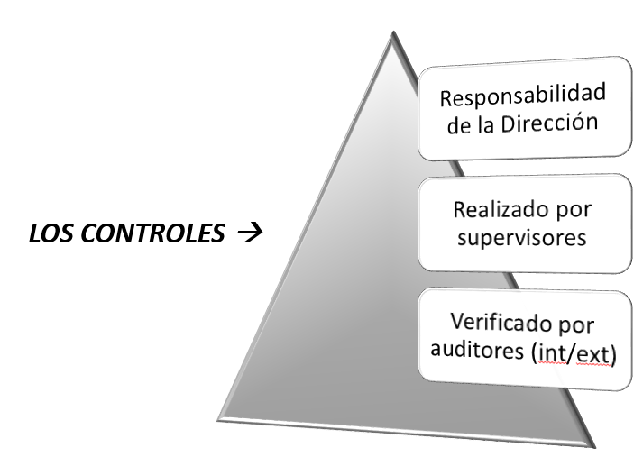 e8d: controles auditoria informatica